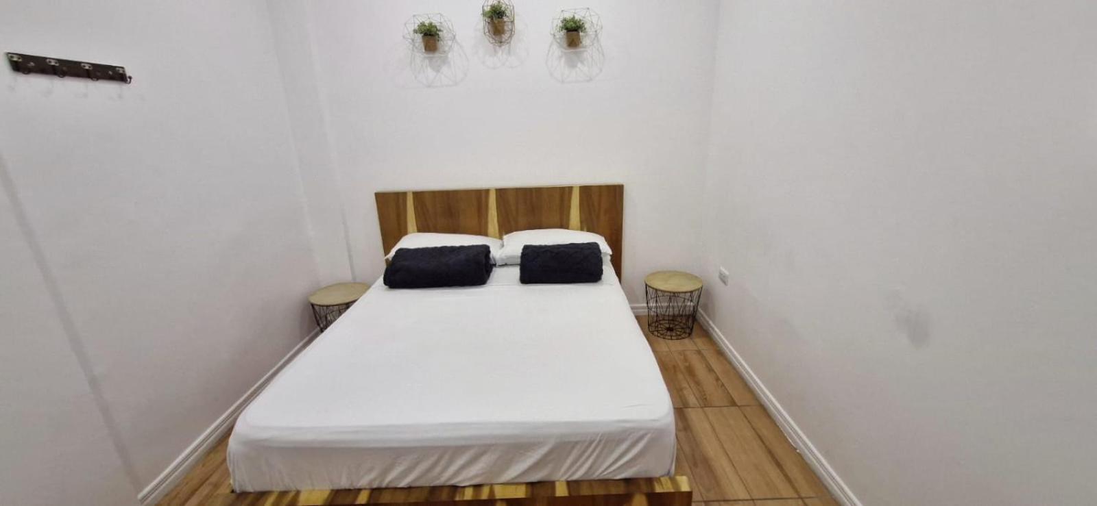 Three House Hostel Boutique Filandia Exterior foto